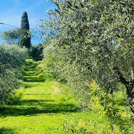 Jck Tuscany Apartamento